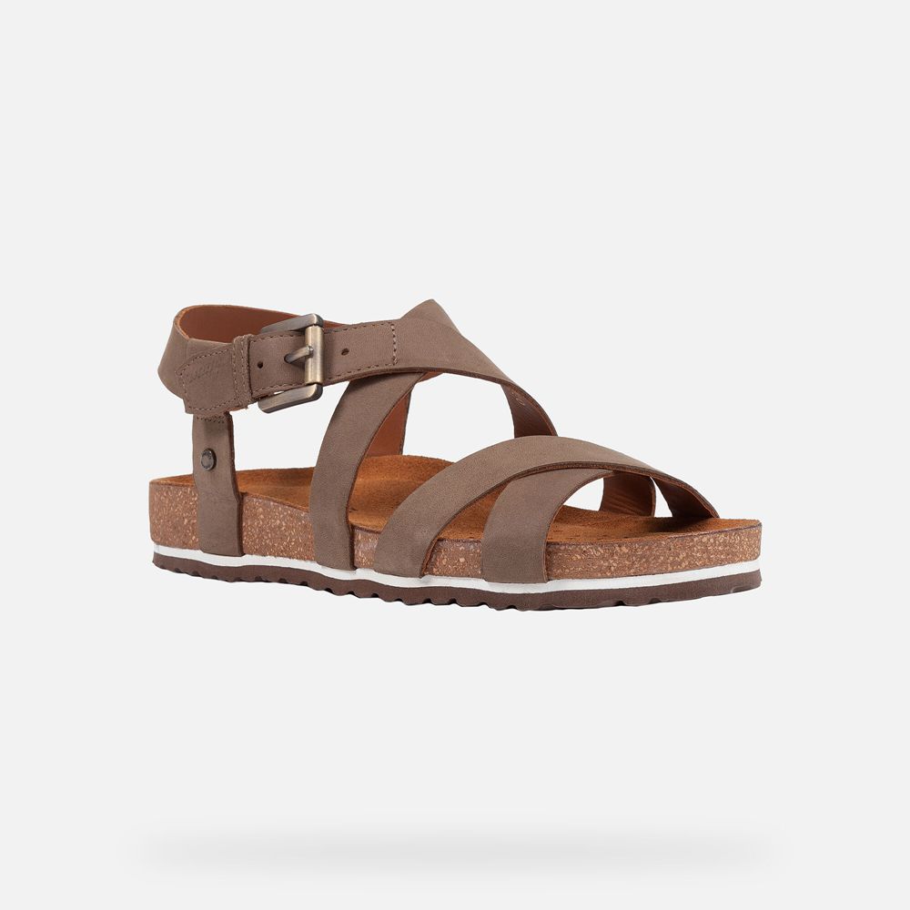 Geox Sandals Dark Brown Spensierata - Geox Womens Shoes - LVQIXT163